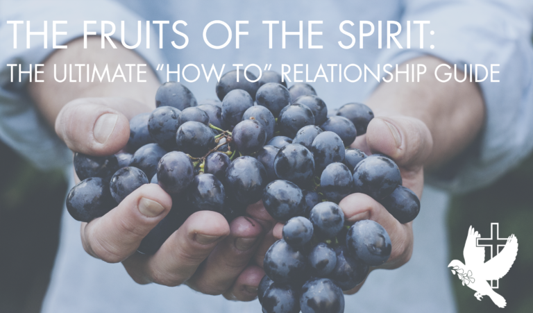 The Fruits Of The Spirit The Ultimate “how To” Relationship Guide Agape Christian Counseling 7052