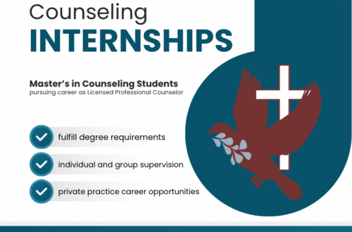 counseling internships masters students st louis mo